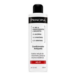 Condicionador Principia Antiq 2%glicer+1%d-pant+0
