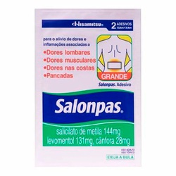 Salonpas Empl Gde C/2 Und