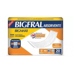 Absorvente Bigfral Regular Plus 20un
